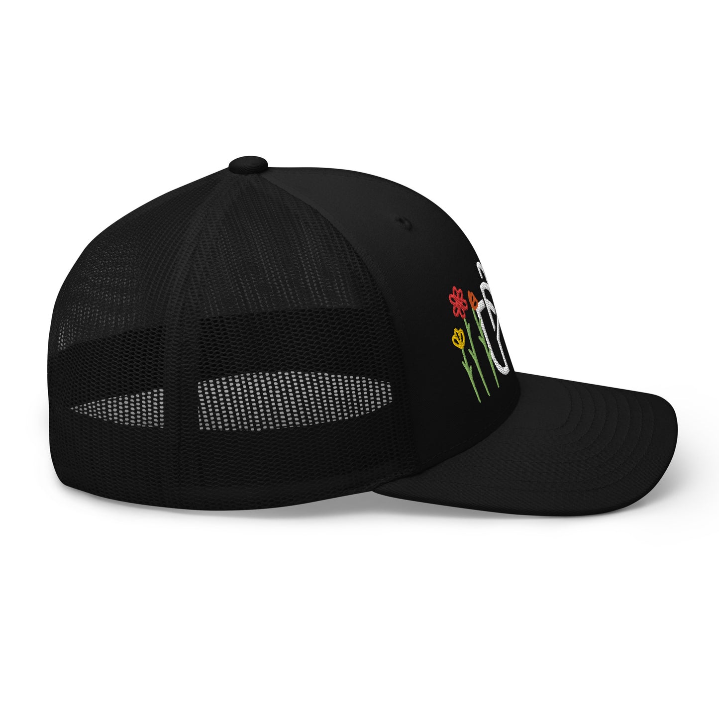 1.0 HAT