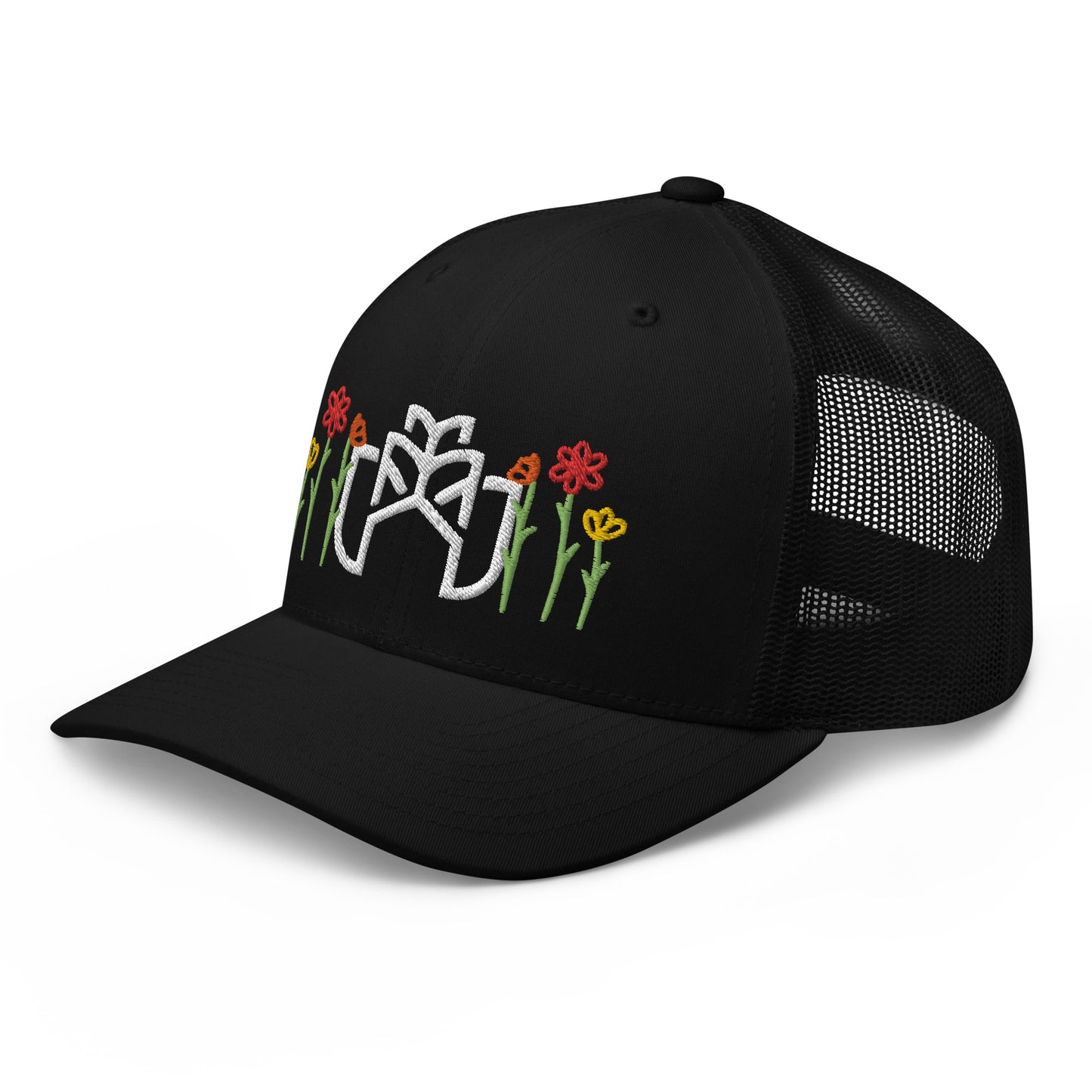 1.0 HAT