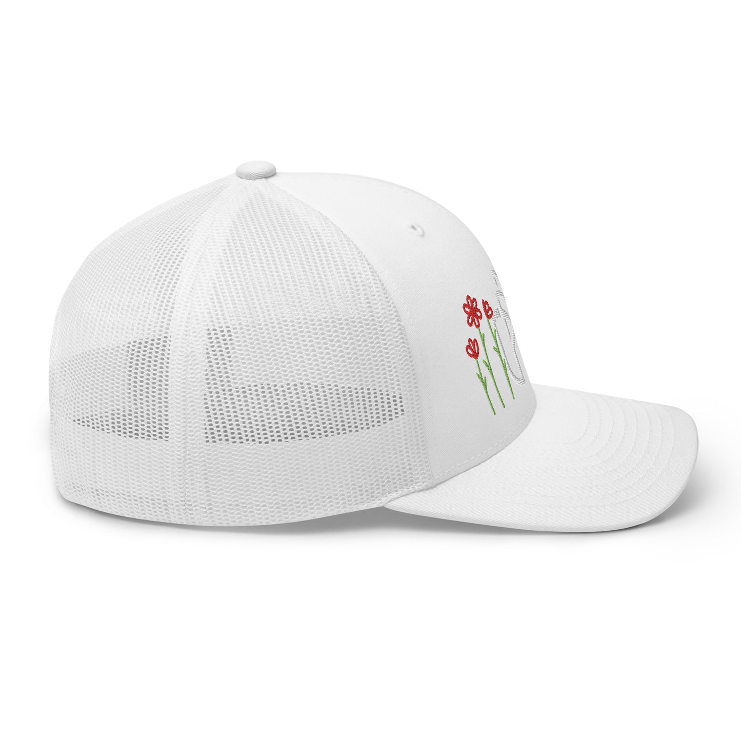 1.0 HAT